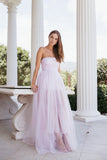 Anabella Strapless Maxi Dress Pale Pink
