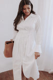 Alexander Shirt Dress Ivory