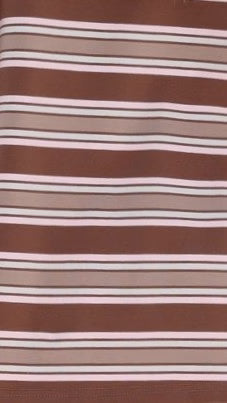 Stevie Crew Neck Tee Chocolate Beige Stripe