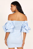 Fern Puff Sleeve Mini Dress Icy Blue