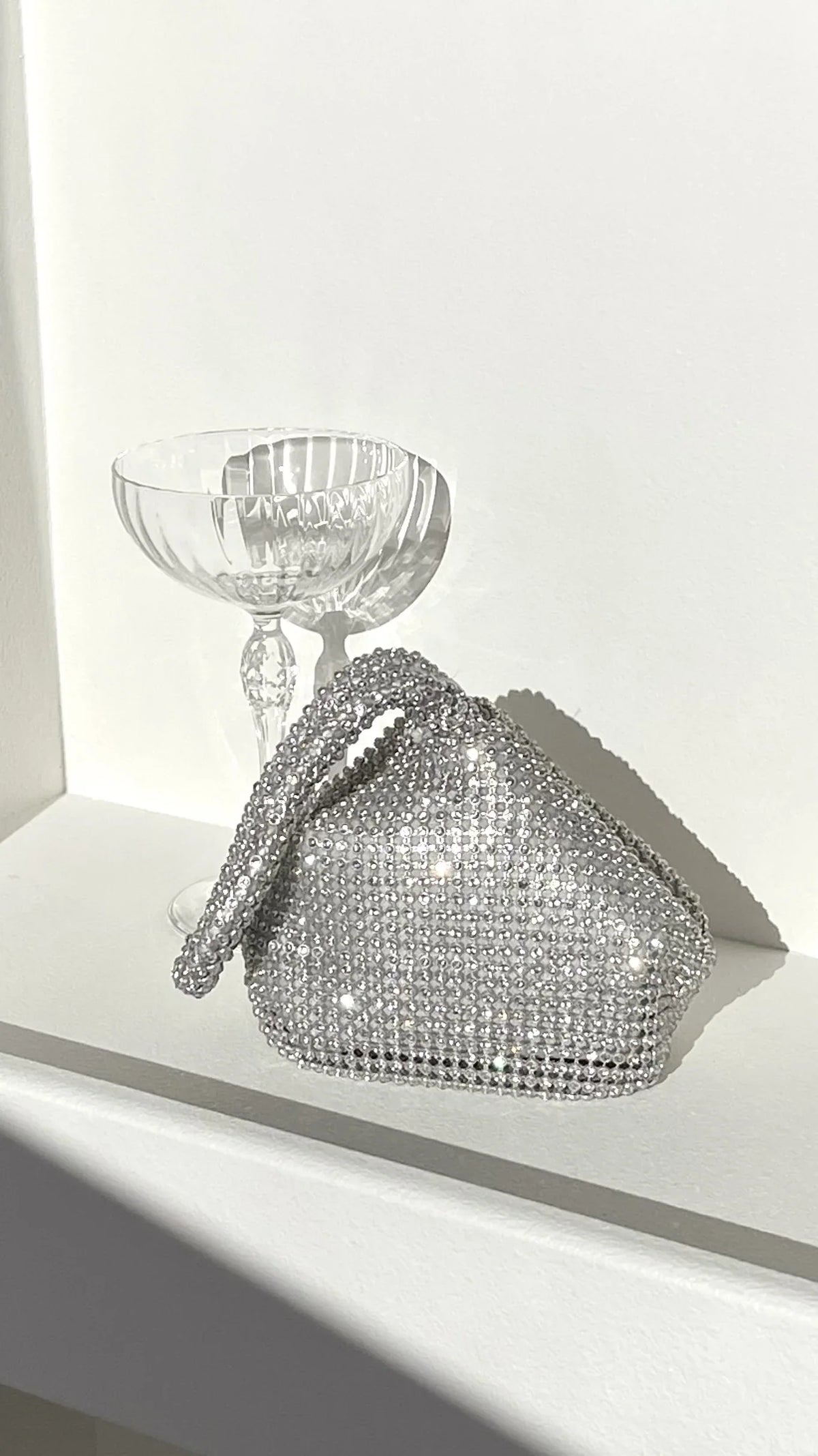 Delawear Bag Silver