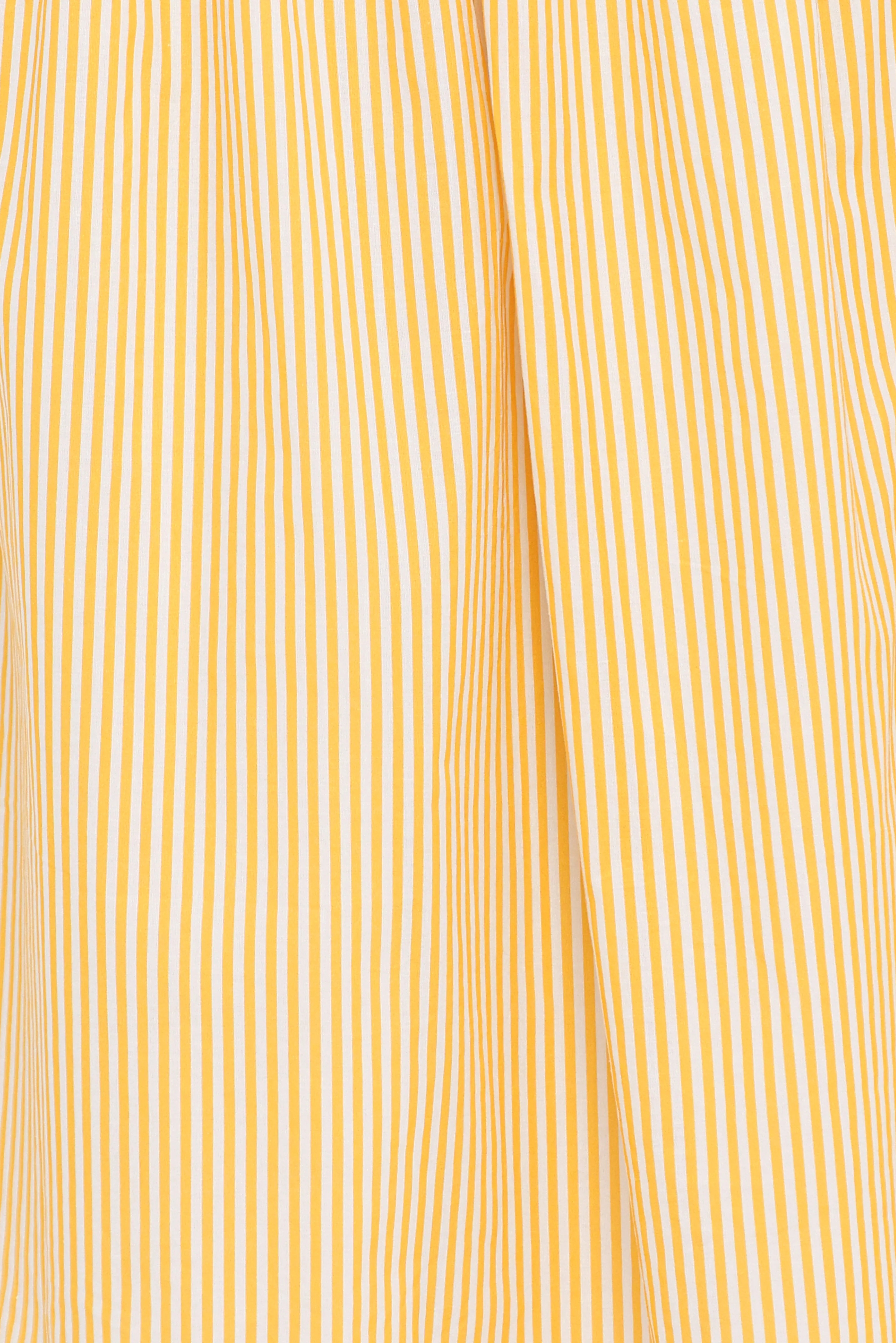 Salome Maxi Skirt Mango Stripe