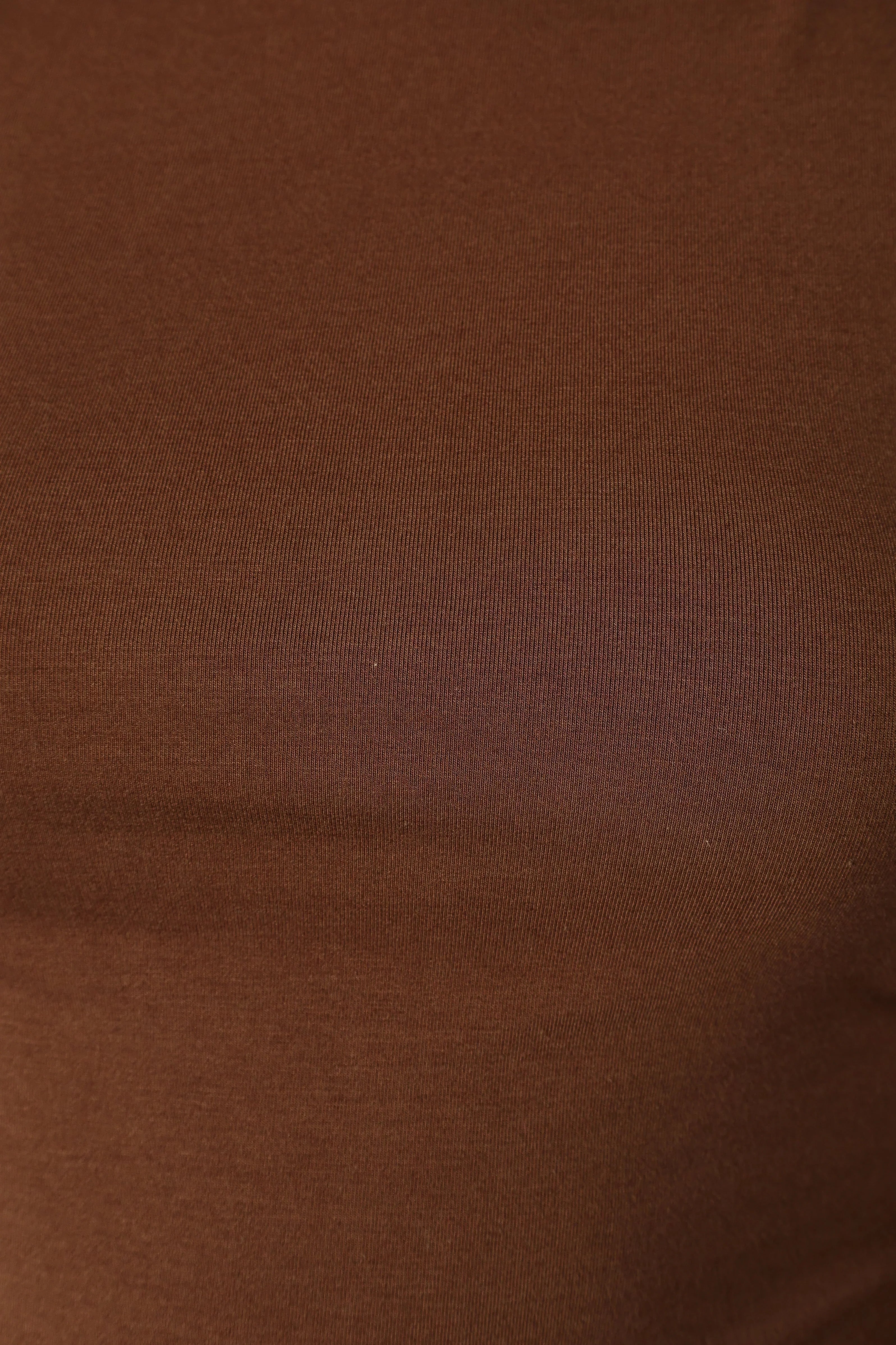 Wanda Long Sleeve Top Coco Brown