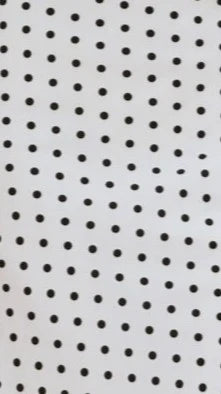 Evaline Skirt Polka Dot