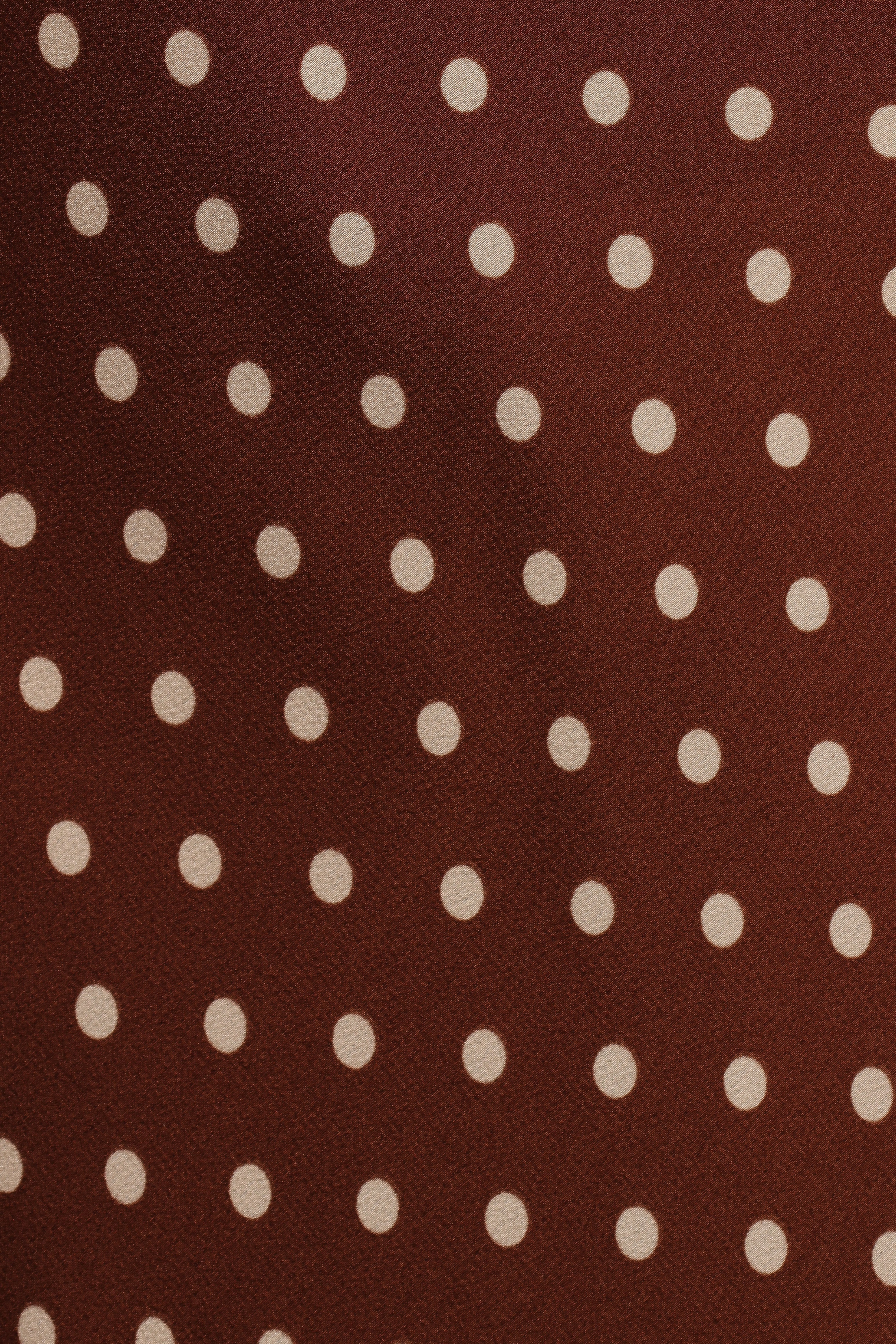 Velman Skirt Brown Polka Dot