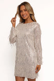 Serena Sequin Mini Dress Nude Silver