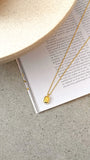 Zodiac Necklace Capricorn